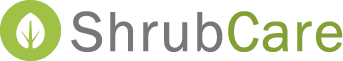 Rose Bush Pruning