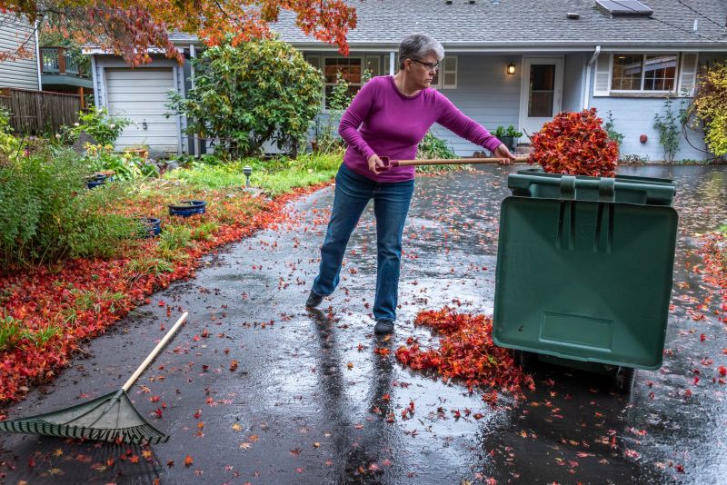 Professional Fall Cleanup